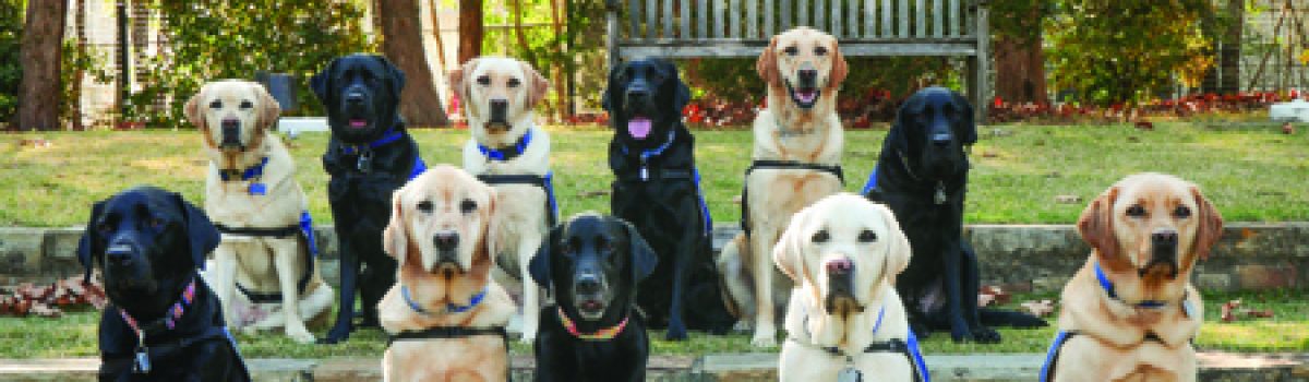 Here for you: the CAC and HERO Facility Dog program